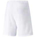 Чоловічі шорти Puma teamRISE Short 704942-03