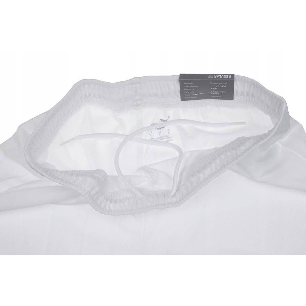 Чоловічі шорти Puma teamRISE Short 704942-03