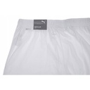 Чоловічі шорти Puma teamRISE Short 704942-03