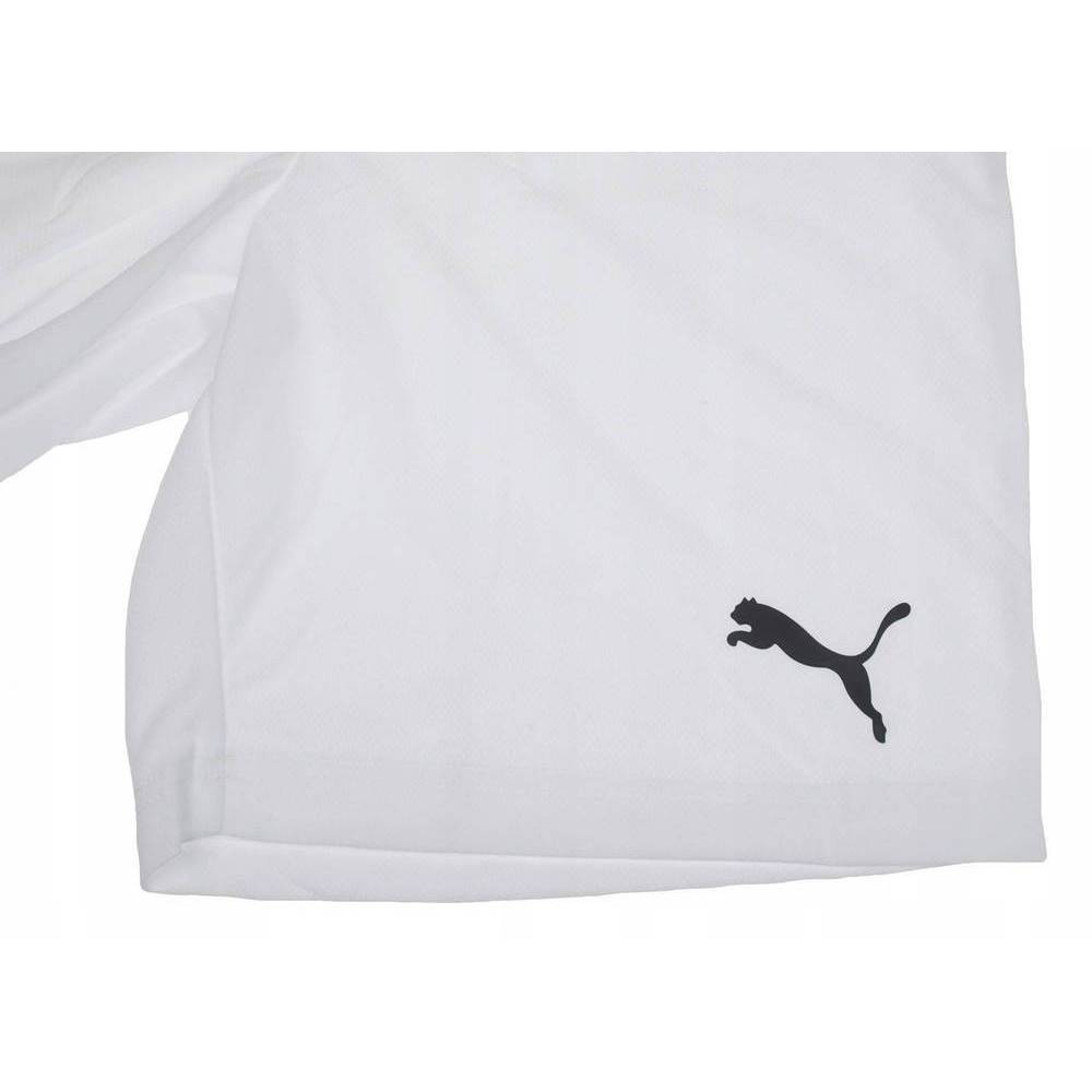Чоловічі шорти Puma teamRISE Short 704942-03