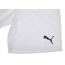 Чоловічі шорти Puma teamRISE Short 704942-03
