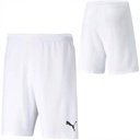 Чоловічі шорти Puma teamRISE Short 704942-03