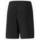 Чоловічі шорти Puma teamRISE Short 704942-04