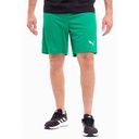 Чоловічі шорти Puma teamRISE Short 704942-05