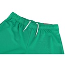 Чоловічі шорти Puma teamRISE Short 704942-05