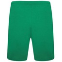 Чоловічі шорти Puma teamRISE Short 704942-05
