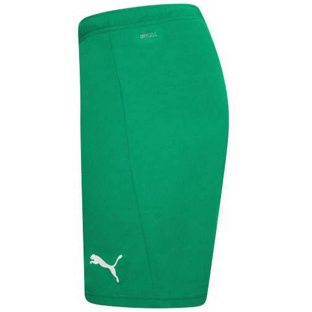 Чоловічі шорти Puma teamRISE Short 704942-05