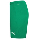 Чоловічі шорти Puma teamRISE Short 704942-05