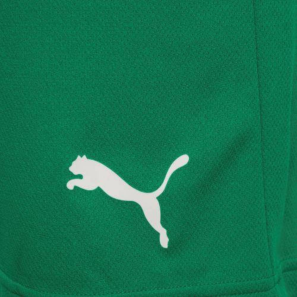 Чоловічі шорти Puma teamRISE Short 704942-05
