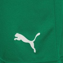 Чоловічі шорти Puma teamRISE Short 704942-05