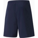 Чоловічі шорти Puma teamRISE Short 704942-06