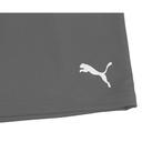 Чоловічі шорти Puma teamRISE Short 704942-13