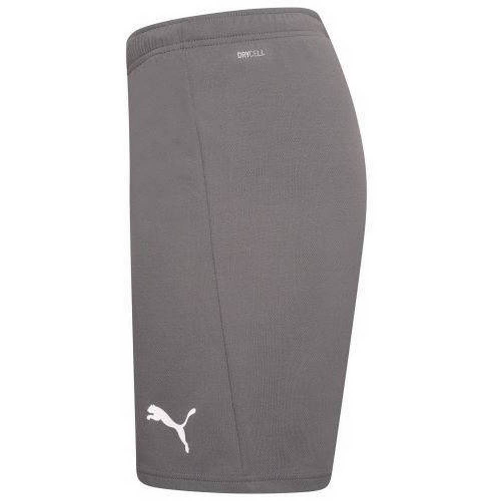 Чоловічі шорти Puma teamRISE Short 704942-13