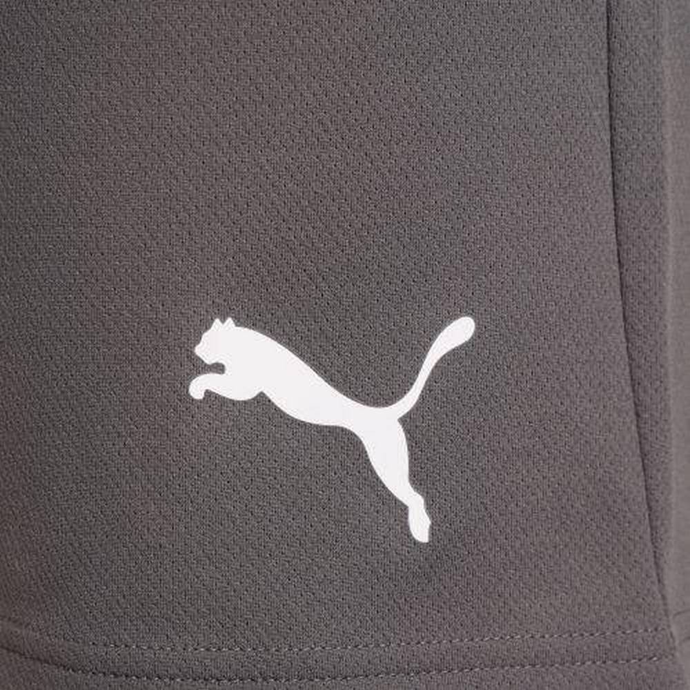 Чоловічі шорти Puma teamRISE Short 704942-13