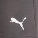 Чоловічі шорти Puma teamRISE Short 704942-13