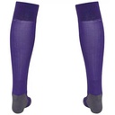 Гетри Puma Team LIGA Socks CORE 703441-10