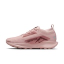 Жіночі кросівки Nike W PEGASUS TRAIL 5 GTX FQ0912-601