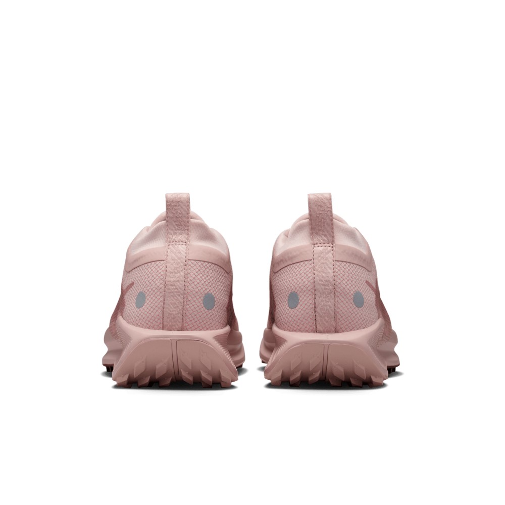 Жіночі кросівки Nike W PEGASUS TRAIL 5 GTX FQ0912-601