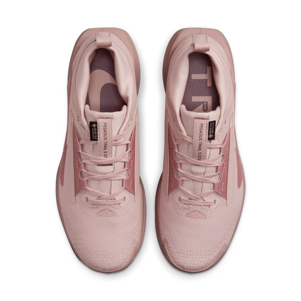 Жіночі кросівки Nike W PEGASUS TRAIL 5 GTX FQ0912-601