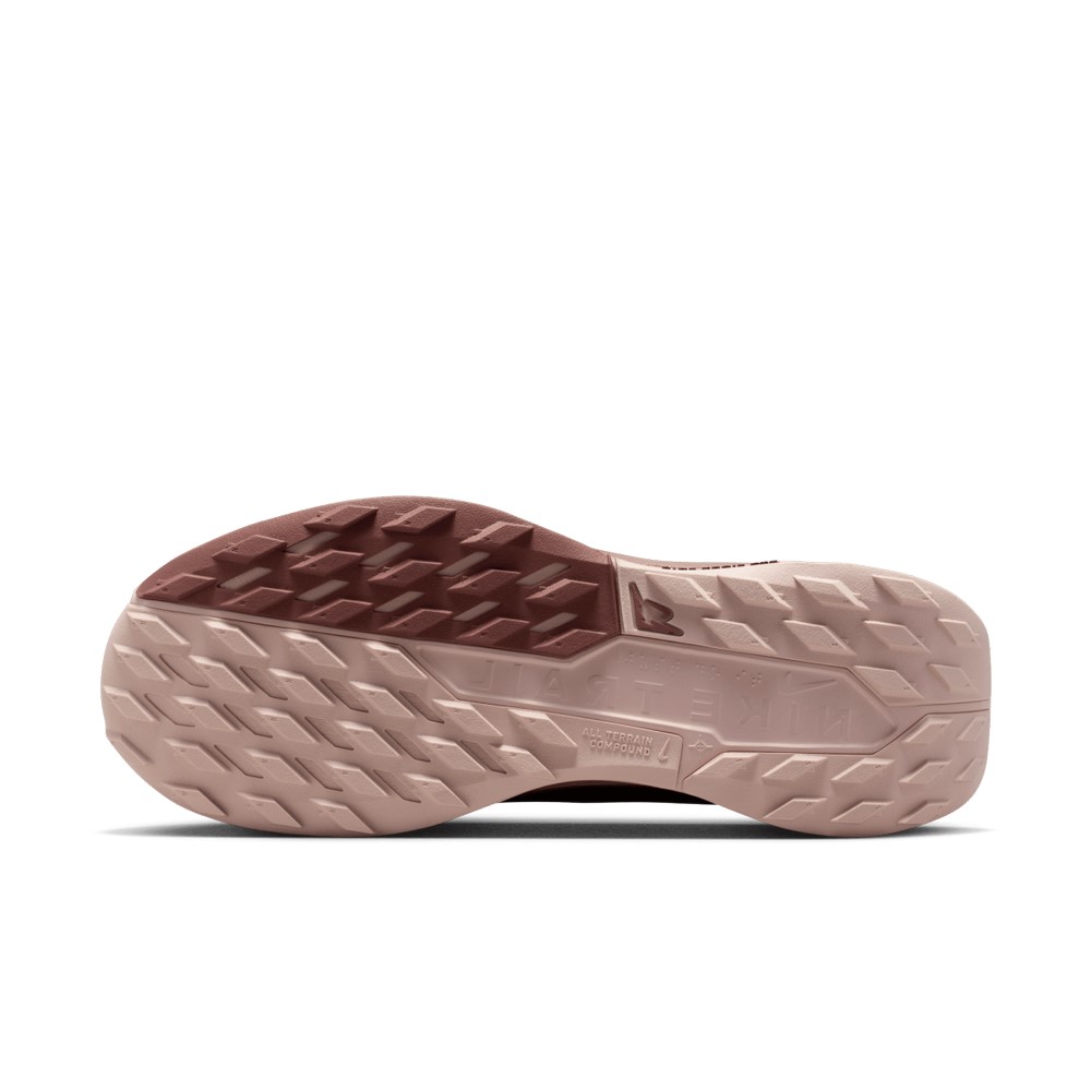 Жіночі кросівки Nike W PEGASUS TRAIL 5 GTX FQ0912-601
