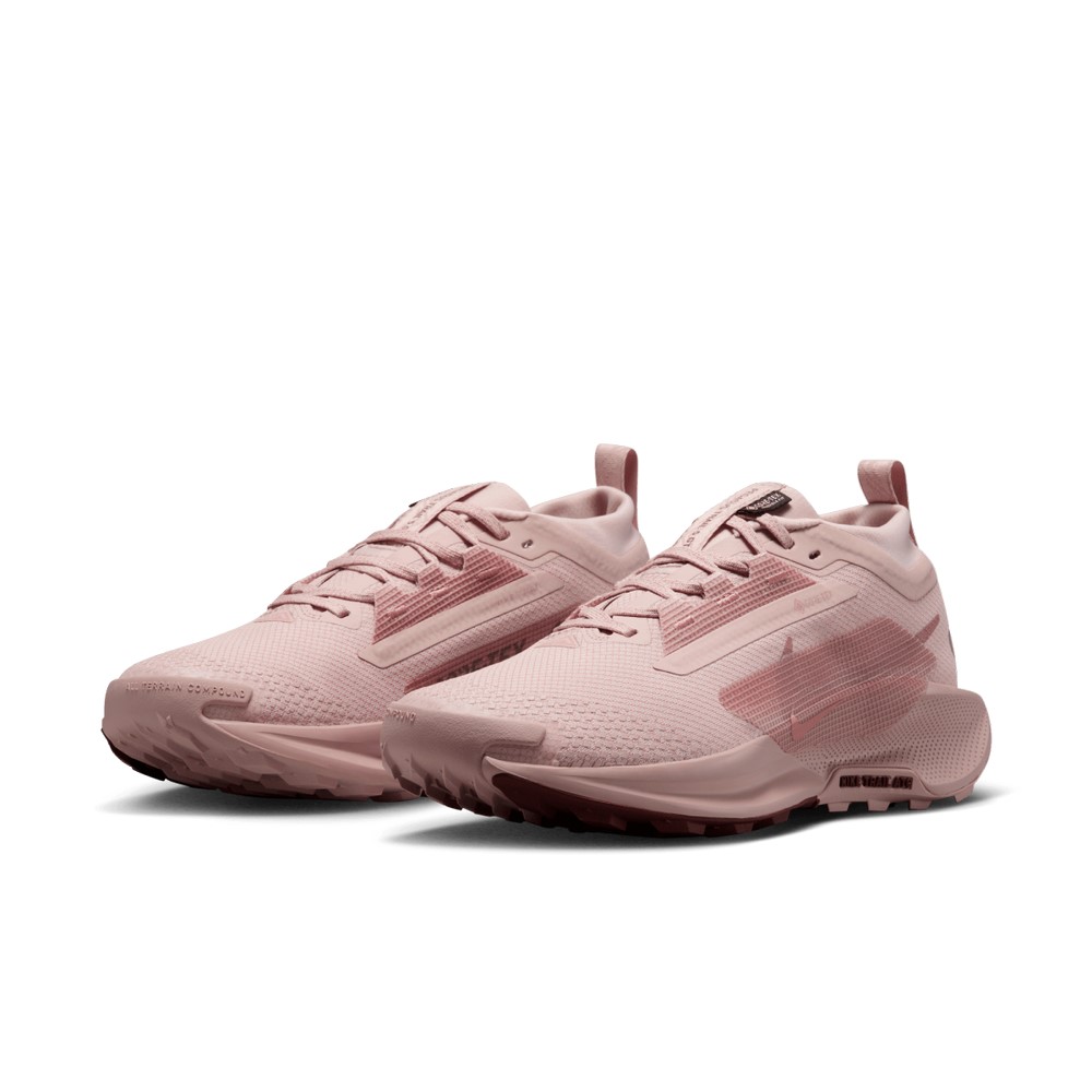 Жіночі кросівки Nike W PEGASUS TRAIL 5 GTX FQ0912-601