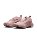 Жіночі кросівки Nike W PEGASUS TRAIL 5 GTX FQ0912-601