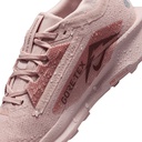 Жіночі кросівки Nike W PEGASUS TRAIL 5 GTX FQ0912-601