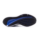 Чоловічі кросівки Nike AIR WINFLO 10 DV4022-005