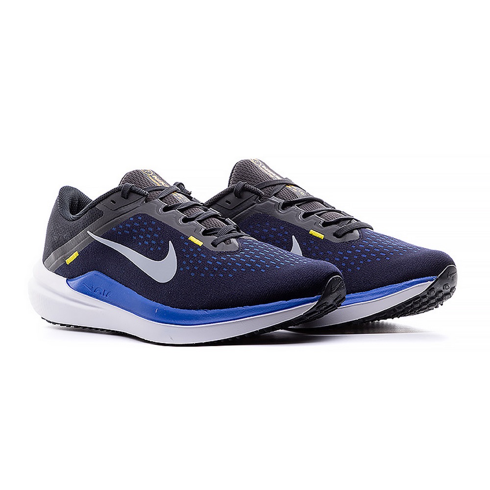 Чоловічі кросівки Nike AIR WINFLO 10 DV4022-005