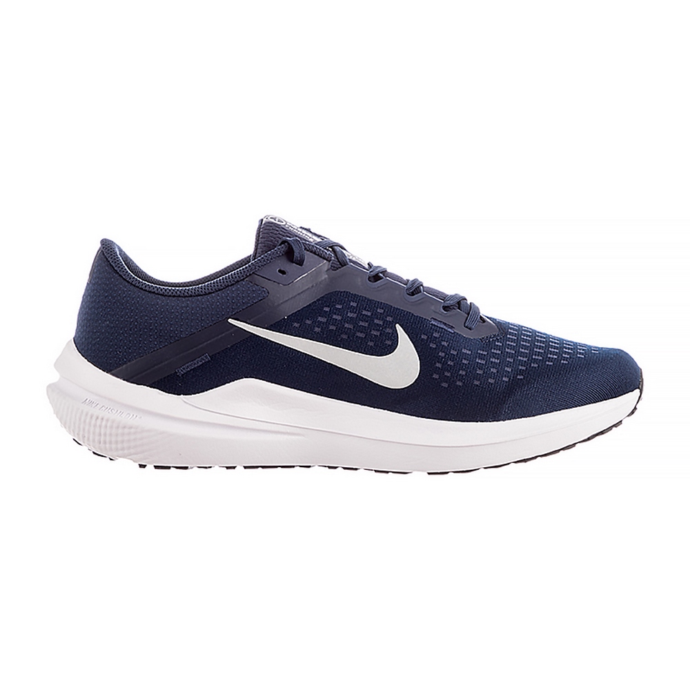 Чоловічі кросівки Nike AIR WINFLO 10 DV4022-400