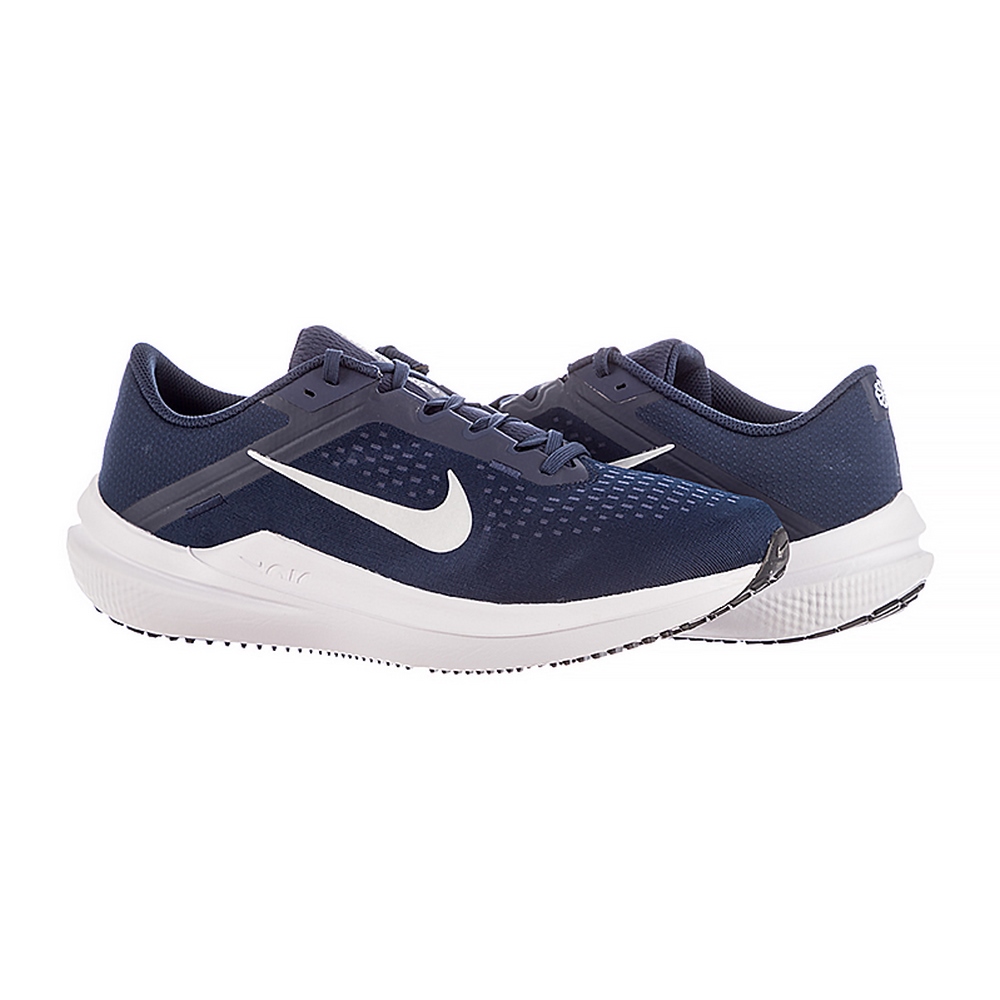 Чоловічі кросівки Nike AIR WINFLO 10 DV4022-400