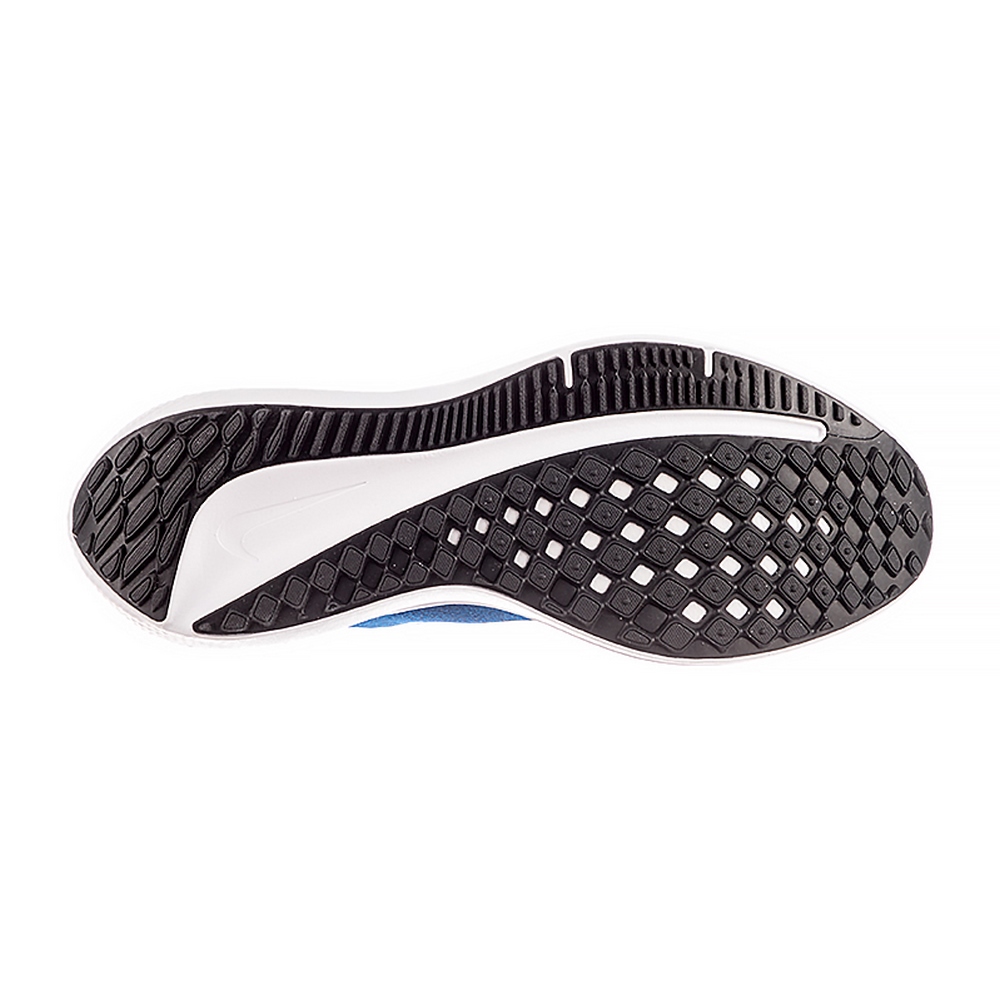 Чоловічі кросівки Nike AIR WINFLO 10 DV4022-400