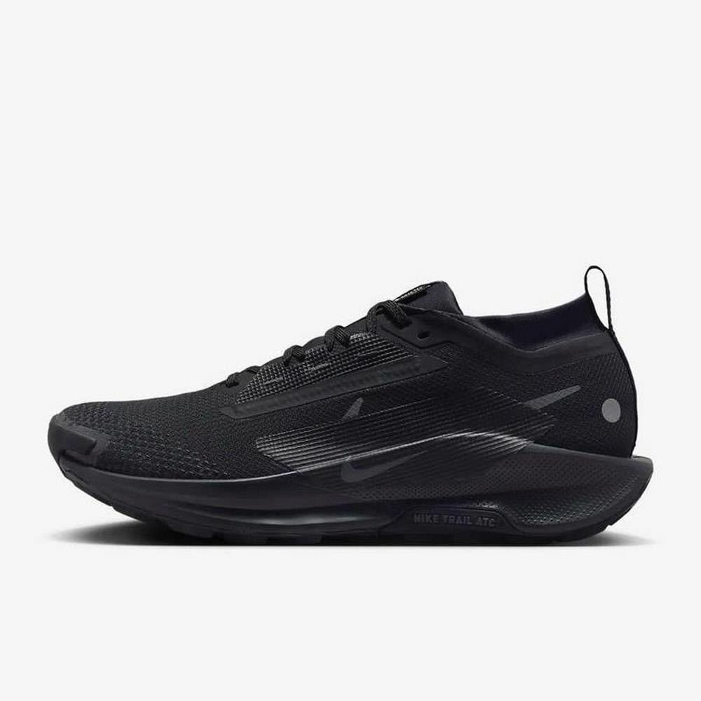 Чоловічі кросівки Nike PEGASUS TRAIL 5 GTX FQ0908-002