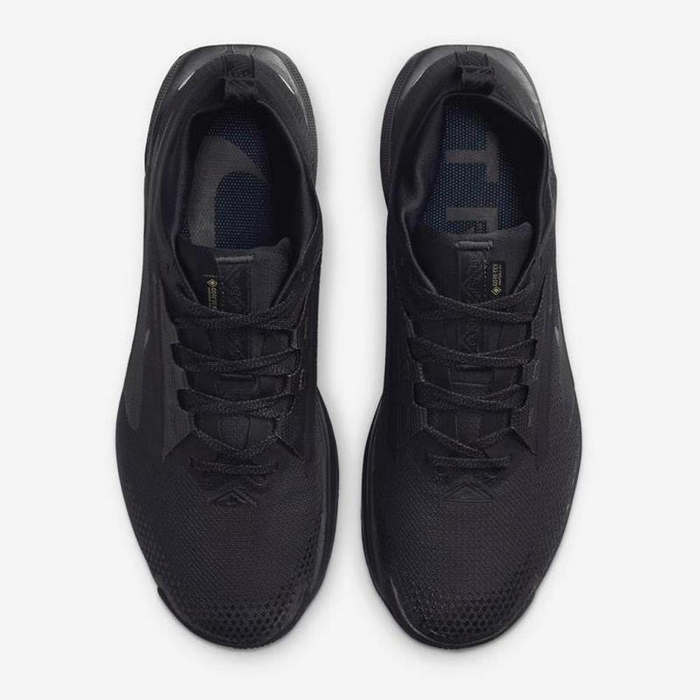 Чоловічі кросівки Nike PEGASUS TRAIL 5 GTX FQ0908-002