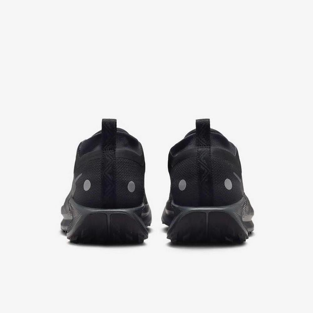 Чоловічі кросівки Nike PEGASUS TRAIL 5 GTX FQ0908-002