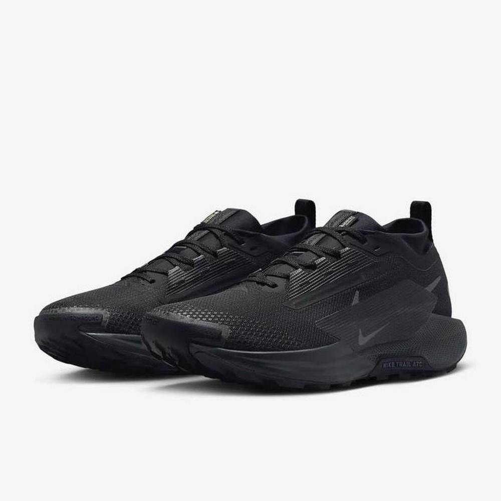 Чоловічі кросівки Nike PEGASUS TRAIL 5 GTX FQ0908-002
