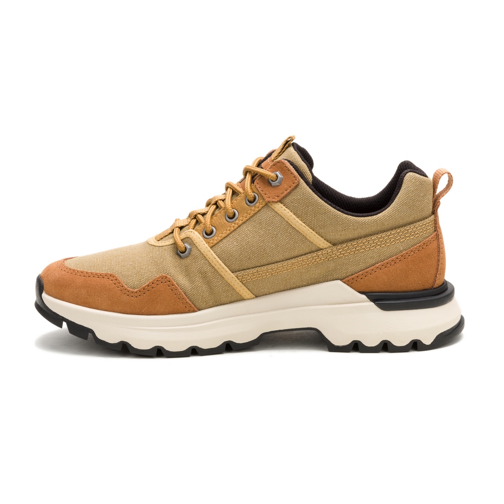 Чоловічі кросівки Caterpillar (CAT) COLORADO SNEAKER LO CANVAS P726177