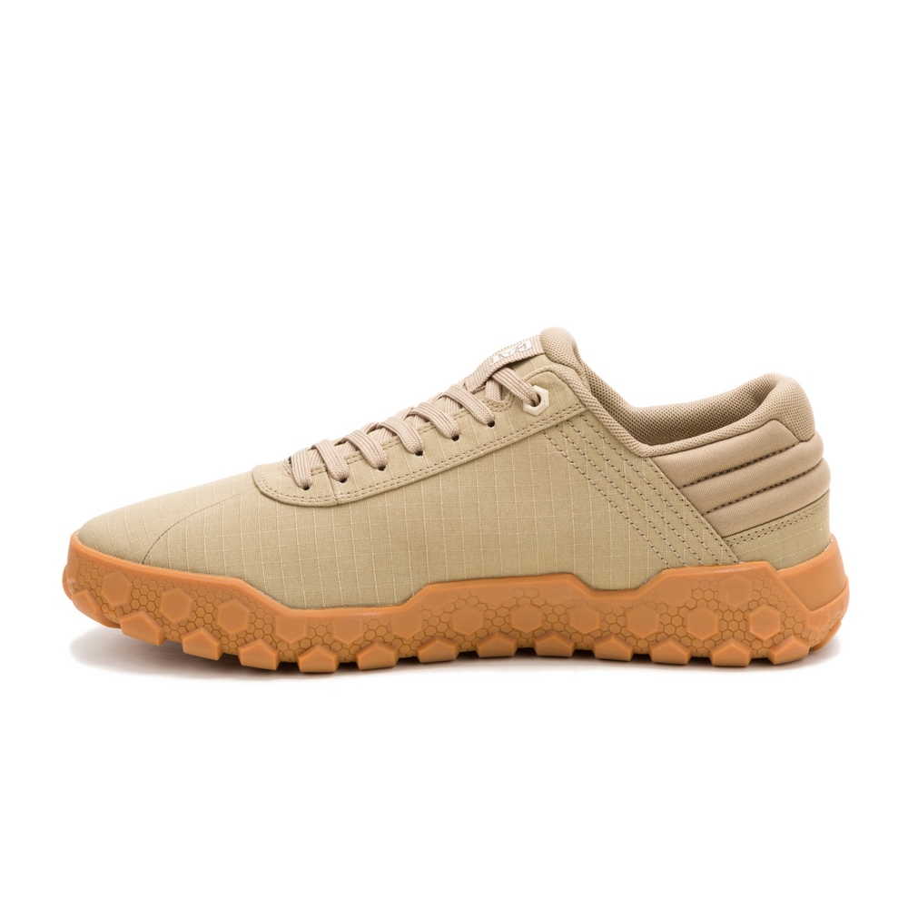 Чоловічі кросівки Caterpillar (CAT) HEX + CANVAS P726265