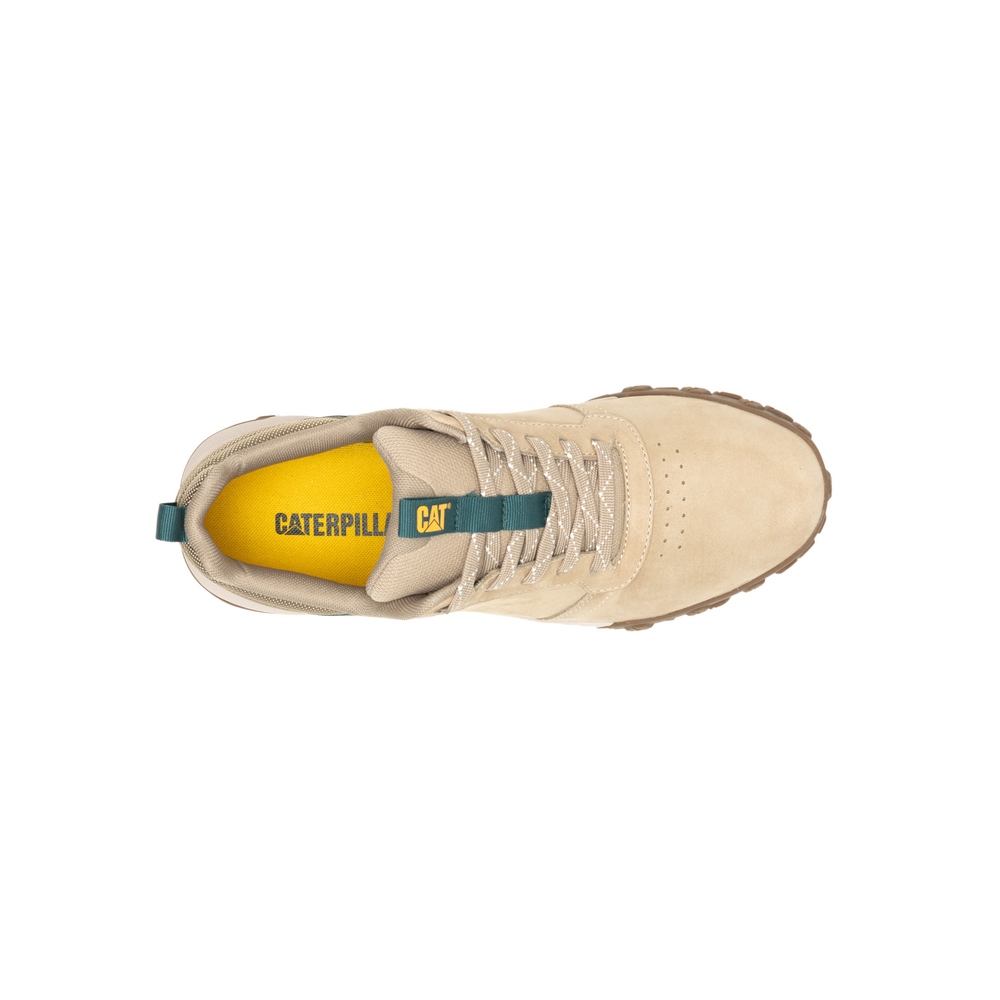Чоловічі кросівки Caterpillar (CAT) HEX READY LO P726013