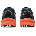 Чоловічі бігові кросівки Asics Trabuco Terra 2 1011B607-301
