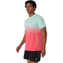 Чоловіча спортивна футболка Asics SEAMLESS SHORT SLEEVE TOP 2011C398-700