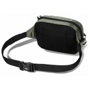 Сумка Jack Wolfskin WANDERMOOD HIPBAG 8007891_4137
