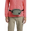 Сумка Jack Wolfskin WANDERMOOD HIPBAG 8007891_4137