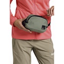 Сумка Jack Wolfskin WANDERMOOD HIPBAG 8007891_4137