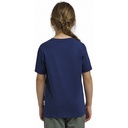 Дитяча футболка Jack Wolfskin GRAPHIC COTTON T KIDS A64185_T0220