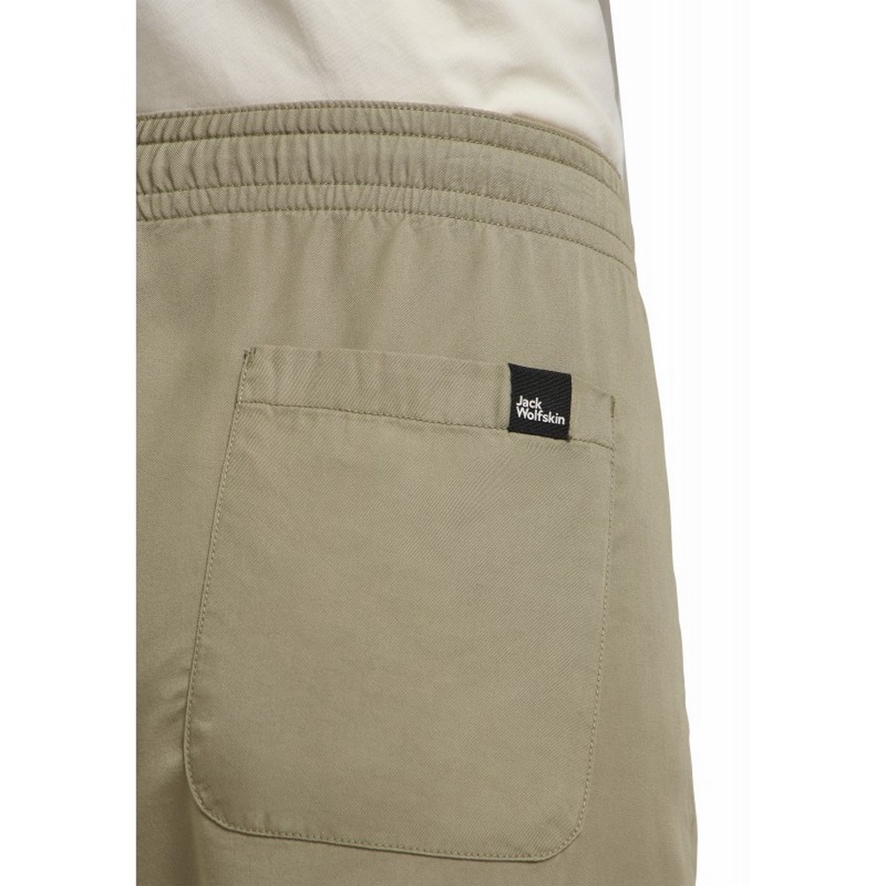 Жіночі штани Jack Wolfskin MONTERO PANTS W A64029_4030