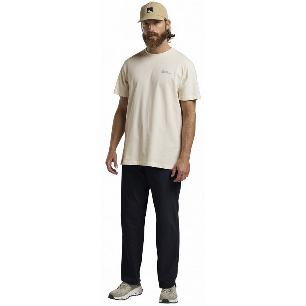 Чоловічі штани Jack Wolfskin DESERT PANTS M 1508331_C0413