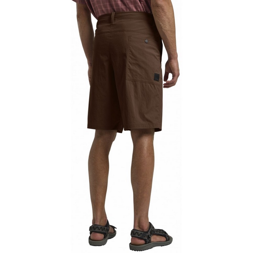 Чоловічі шорти Jack Wolfskin DESERT SHORTS M 1508341_2745