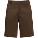 Чоловічі шорти Jack Wolfskin DESERT SHORTS M 1508341_2745