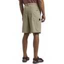 Чоловічі шорти Jack Wolfskin DESERT SHORTS M 1508341_4030